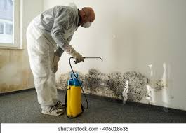 Professional Mold Remediation in Seabrook, TX